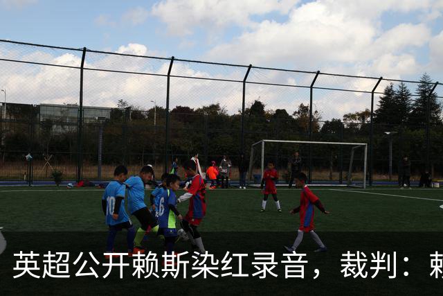 英超公开赖斯染红录音，裁判：赖斯你让我很难做
